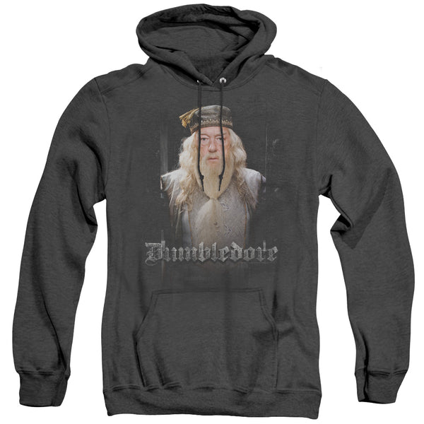 Harry Potter - Dumble Doors Adult Heather Hoodie