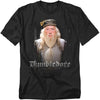 Harry Potter - Dumble Doors Adult Regular Fit Short Sleeve