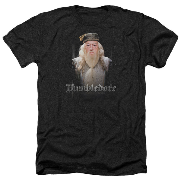 Harry Potter - Dumble Doors Adult Regular Fit Heather Short Sleeve
