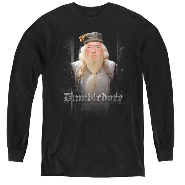 Harry Potter - Dumble Doors L - S Youth