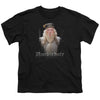 Harry Potter - Dumble Doors Youth Short Sleeve
