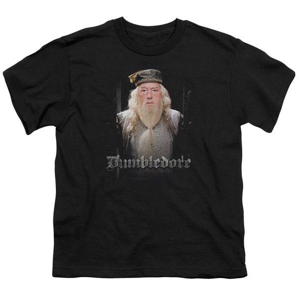 Harry Potter - Dumble Doors Youth Short Sleeve