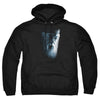 Harry Potter - Dumbledore Face Adult Pullover Hoodie