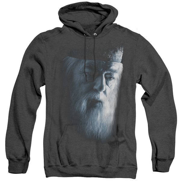Harry Potter - Dumbledore Face Adult Heather Hoodie
