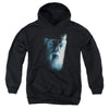 Harry Potter - Dumbledore Face Youth Hooded Sweatshirt