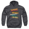 Harry Potter - Burnt Banners Youth Hooded Sweatshirt