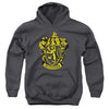 Harry Potter - Gryffindor Crest Youth Hooded Sweatshirt