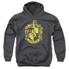 Harry Potter - Hufflepuff Crest Youth Hooded Sweatshirt