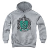 Harry Potter - Slytherin Crest Youth Hooded Sweatshirt