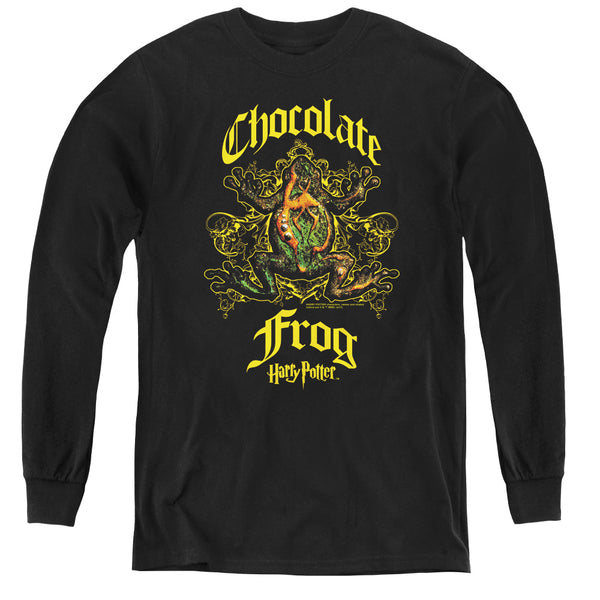 Harry Potter - Chocolate Frog L - S Youth