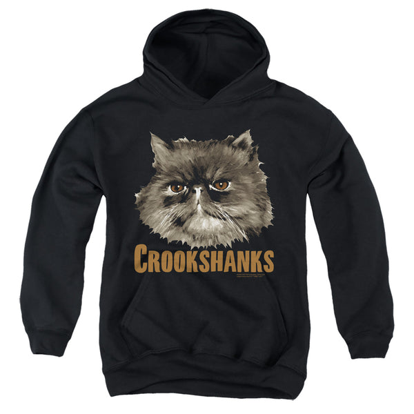Harry Potter - Crookshanks Youth Hooded Sweatshirt