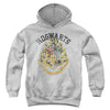 Harry Potter - Hogwarts Crest Youth Hooded Sweatshirt