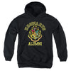 Harry Potter - Hogwarts Alumni Crest Youth Hooded Sweatshirt