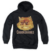 Harry Potter - Crookshanks Color Youth Hooded Sweatshirt