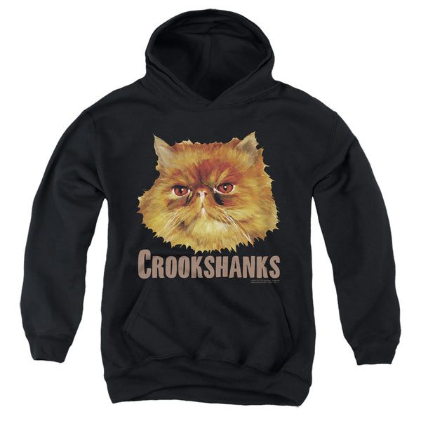 Harry Potter - Crookshanks Color Youth Hooded Sweatshirt