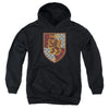 Harry Potter - Gryffindor Shield Crest Youth Hooded Sweatshirt