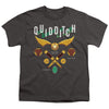 Harry Potter - Quidditch Equipment Logo Youth Short Sleeve