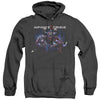Infinite Crisis - IC Super Adult Heather Hoodie