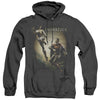 Injustice Gods Among Us - Battle Of The Gods Adult Heather Hoodie