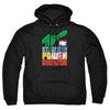 JLA - Heroic Qualities Adult Pullover Hoodie