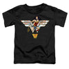 Wonder Woman - Ww 80Th Collage Logo Toddler Short Sleeve