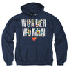 Wonder Woman - Ww 80Th Illustrated Type Adult Pullover Hoodie