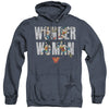 Wonder Woman - Ww 80Th Illustrated Type Adult Heather Hoodie