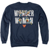 Wonder Woman - Ww 80Th Illustrated Type Adult Crewneck Sweatshirt