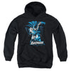 JLA - Batman Blue & Gray Youth Hooded Sweatshirt
