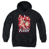 JLA - Flash Red & Gray Youth Hooded Sweatshirt