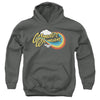 Wonder Woman - Rainbow 1 Youth Hooded Sweatshirt