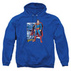 JLA - Superman Panels Adult Pullover Hoodie