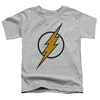 Justice League - Flash Muted Color Bolt Toddler Short Sleeve