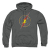Justice League - Flash Busted Logo Adult Pullover Hoodie