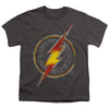 Justice League - Flash Busted Logo Youth Short Sleeve