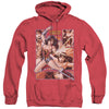 JLA - Wonder Woman Panels Adult Heather Hoodie