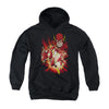 JLA - Speed Force Youth Hooded Sweatshirt