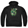 JLA - Green Lantern Energy Adult Pullover Hoodie