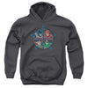 JLA - Four Heroes Youth Hooded Sweatshirt