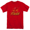 JLA - Flash Rough Distress Adult Regular Fit Short Sleeve