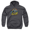 JLA - Batman Rough Distress Youth Hooded Sweatshirt