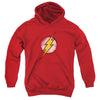 JLA - Destroyed Flash Logo Youth Hooded Sweatshirt