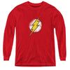 JLA - Destroyed Flash Logo L - S Youth