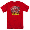 JLA - Flash Family Adult Regular Fit Short Sleeve