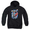 JLA - Storm Makers Youth Hooded Sweatshirt