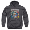 JLA - Neighborhood Watch Youth Hooded Sweatshirt