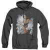 JLA - Of Themyscira Adult Heather Hoodie