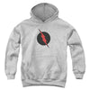 JLA - Reverse Flash Youth Hooded Sweatshirt