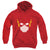JLA - Flash Head Youth Hooded Sweatshirt