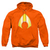 JLA - Aquaman Logo Adult Pullover Hoodie